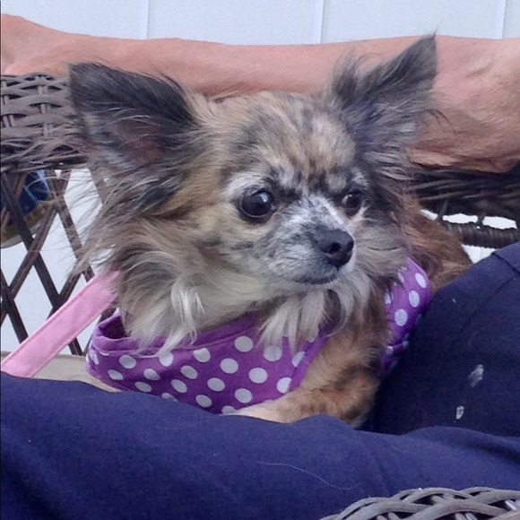 Meet your Posher, Erin - Picture 6 of 15